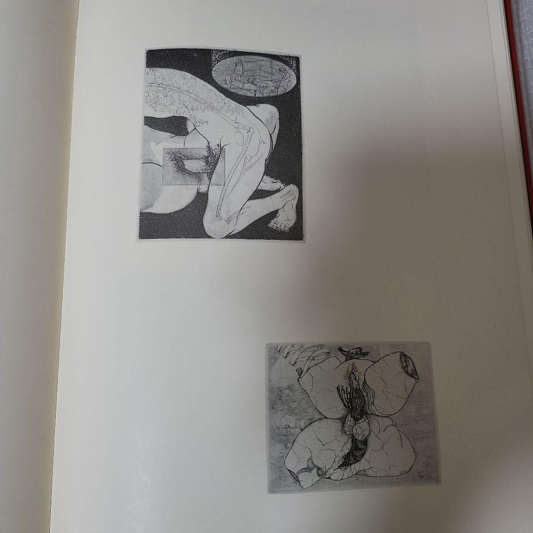 多賀 新 全作品集 SPRING DREAMER 1971〜1983　古本