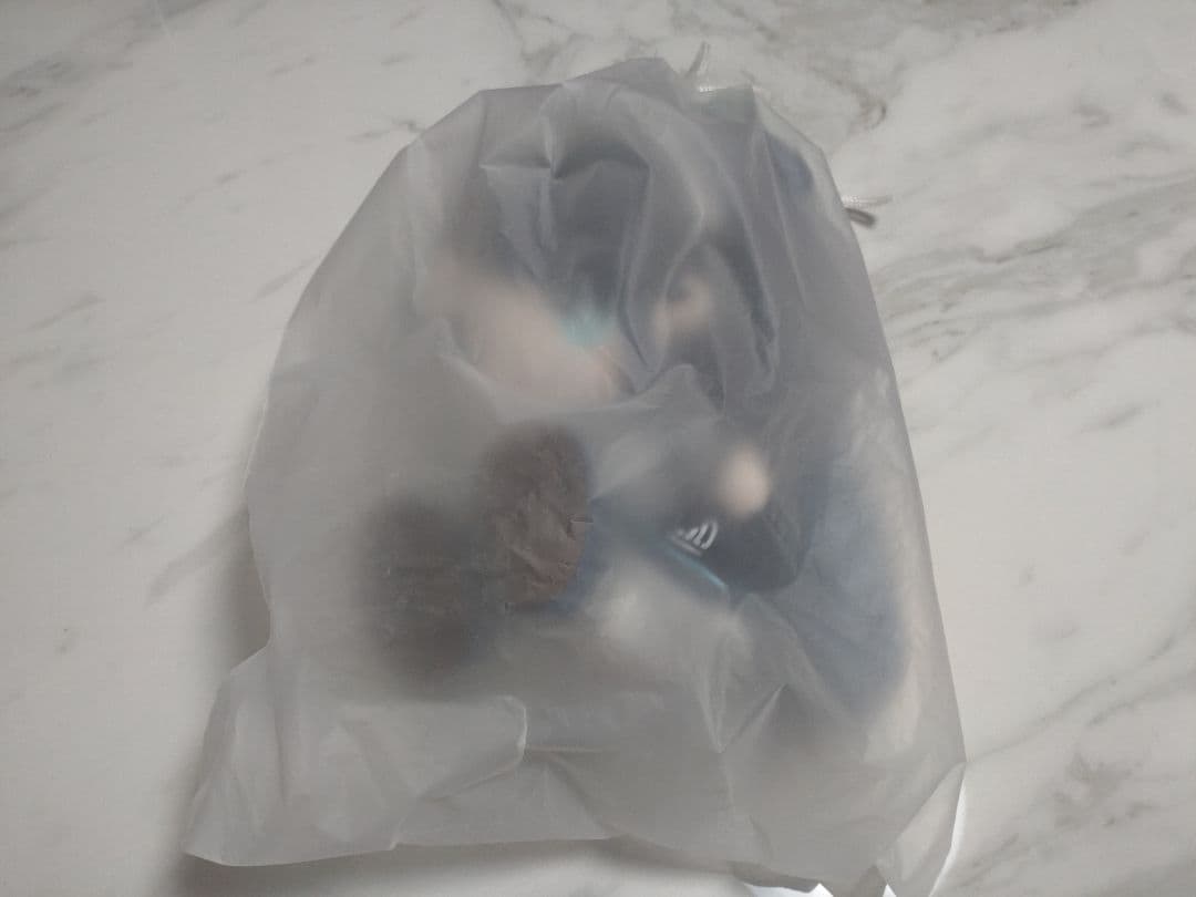 【会場限定・中国限定】ブルーアーカイブ BW2025【メイドアリス】ぬいぐるみ