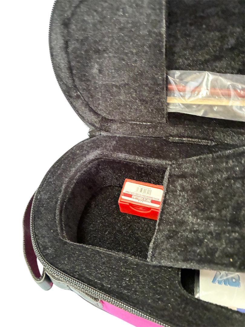 Carlo giordano カルロ ジョルダーノ バイオリン 4/4