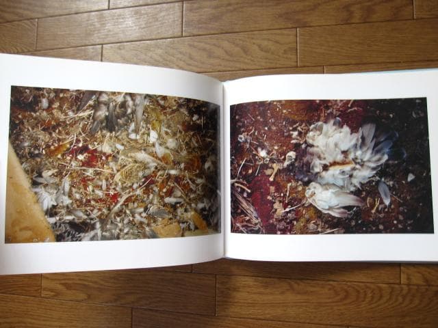 MAY THE CIRCLE REMAIN UNBROKEN　限定1000部