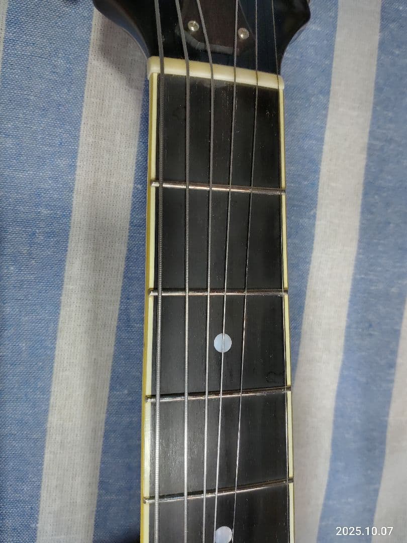 The Loarのハードケース付き1ハムフルアコLH-650vs使用感少な目美品