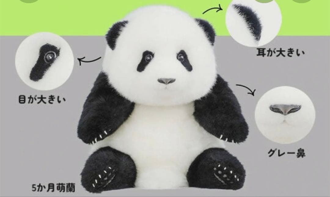 パンダぬいぐるみ　リアル可愛い