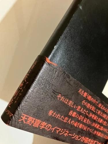 レア 天野喜孝イラスト「魔笛」初版本 帯付き ファンタジー アート あらきりつこ