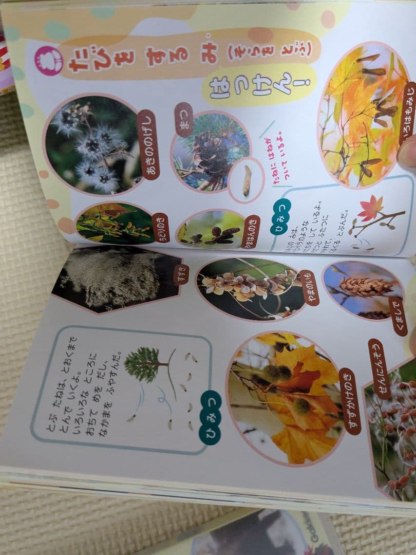 絵本セット 幼児向け