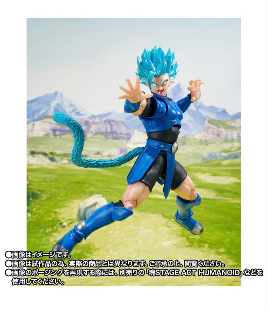 S.H.Figuarts シャロット 新品未開封