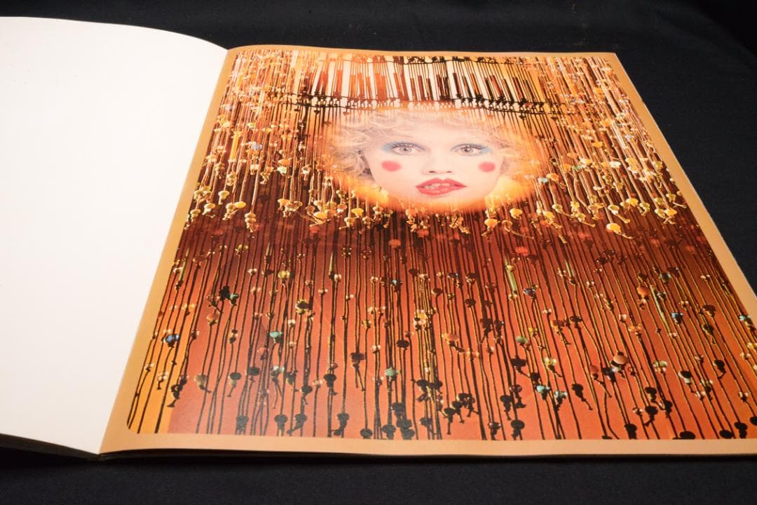 【HASKINS POSTERS】 Sam Haskins★大幅に値下げしました