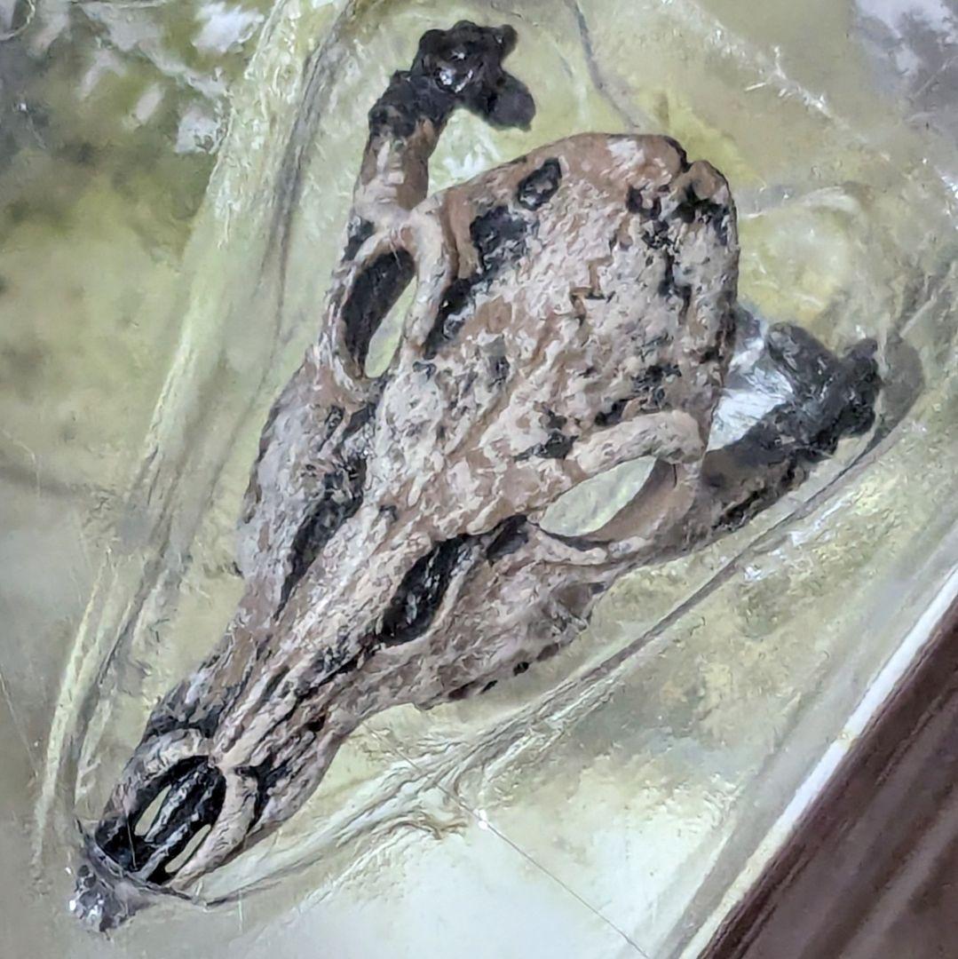 マクファーレン　スポーン22　the VIKING AGE　3種　バルキリー　他