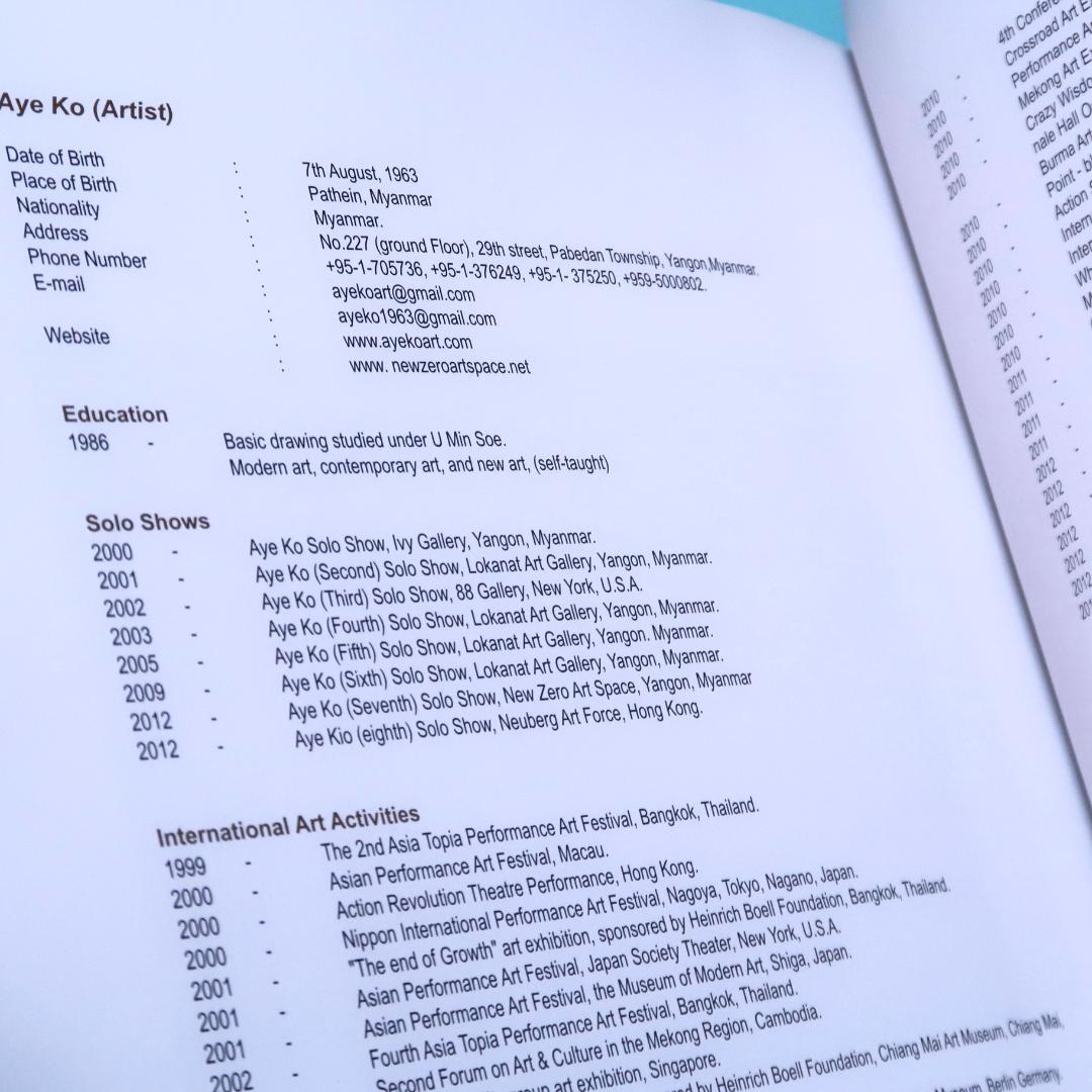 特別セール！洋書『artist AYE KO』エー・コー、ミャンマー、現代アート
