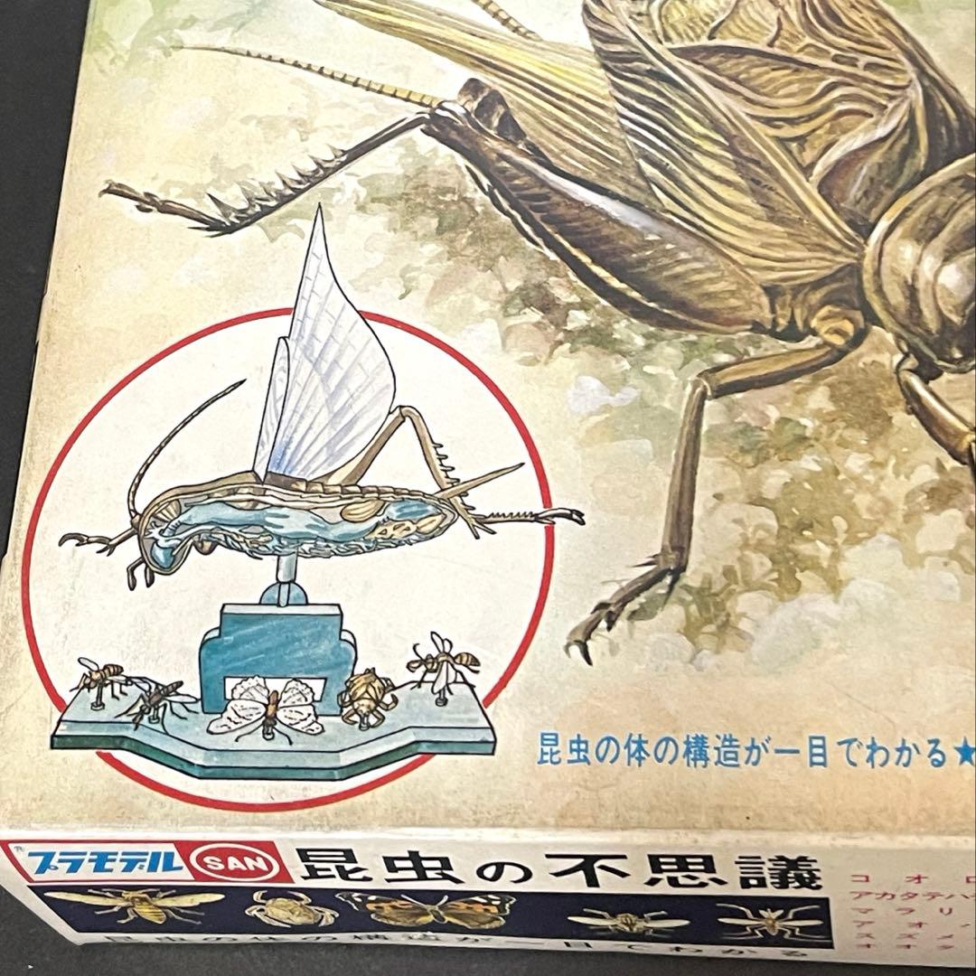 マルサンプラモデル　エディショナルシリーズ　昆虫の不思議　絶版‼︎