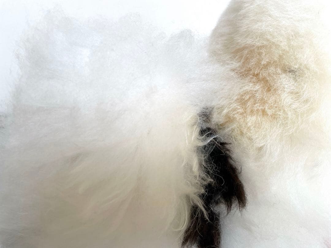 ☆リアルファー☆美品☆アルパカ　ぬいぐるみ　毛皮　リアル動物ぬいぐるみ