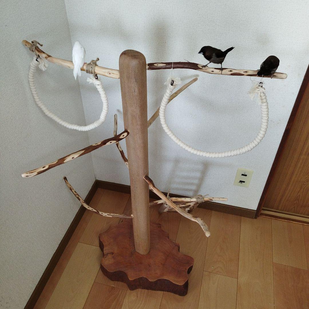 【中型鳥さん用】螺旋状♬バードアスレチック