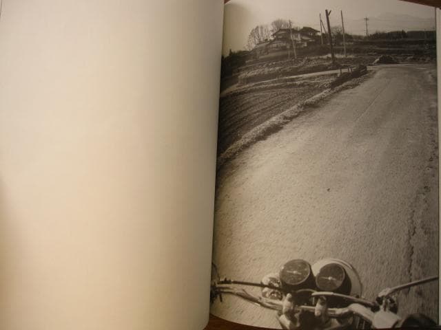 Free for All　Shingo Wakagi　若木信吾