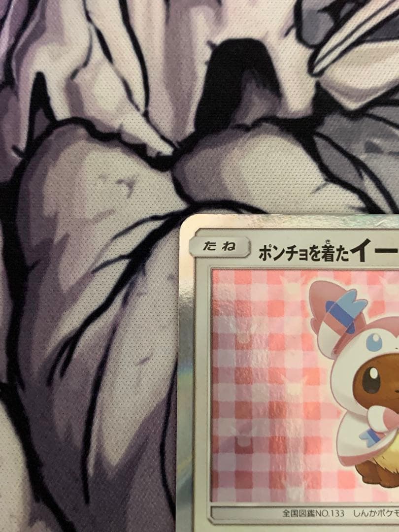 ポンチョを着たイーブイ　ニンフィア