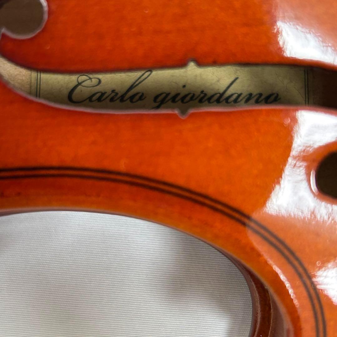 ☆ さとみん☆ カルロジョルダーノ VS-1 1/8 2019年製