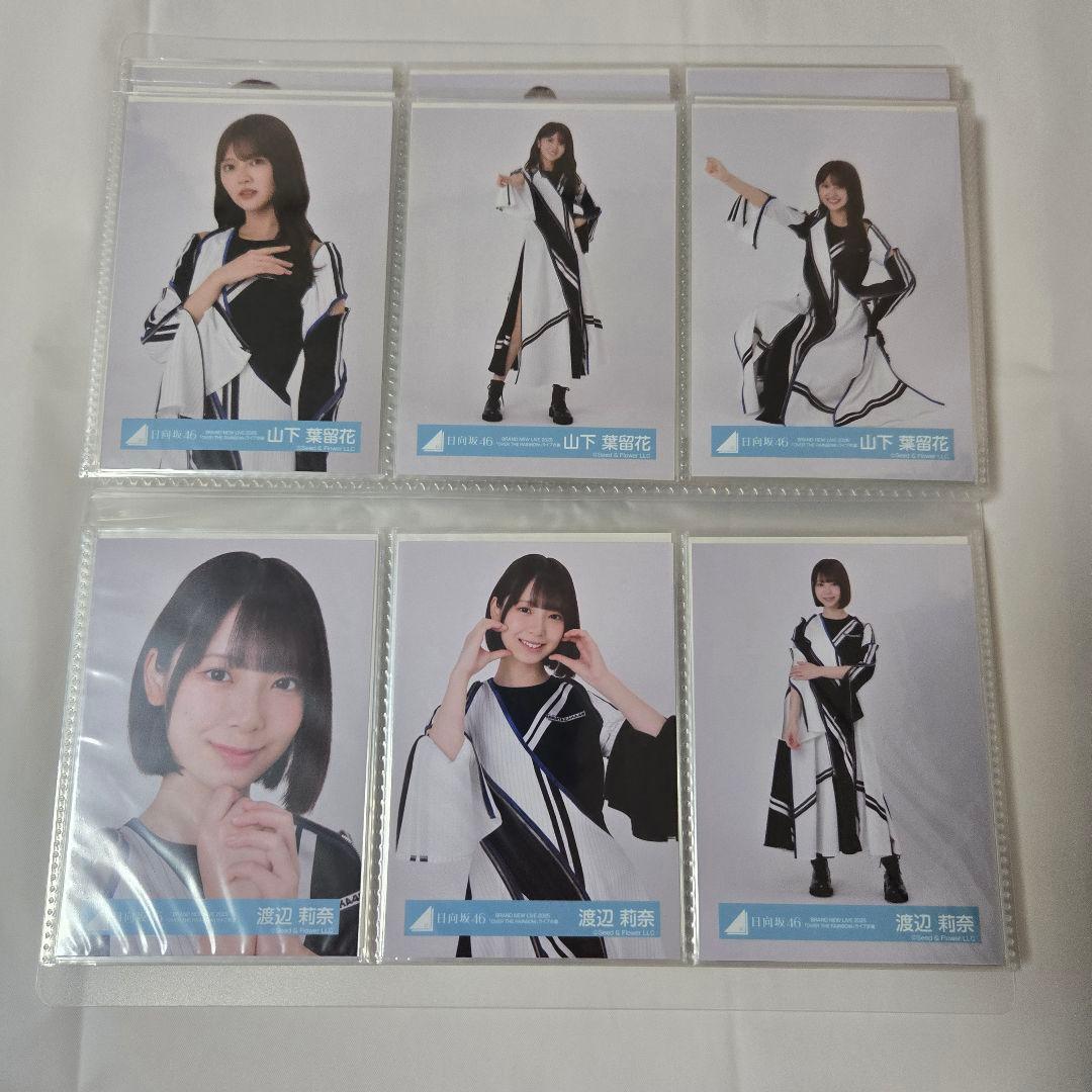 日向坂46 生写真 フルコンプ OVER THE RAINBOW ライブ衣装