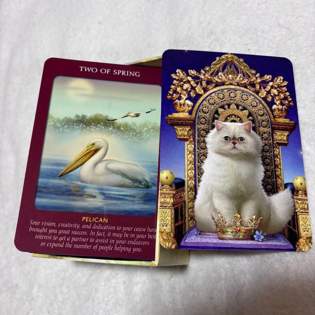 【美品】アニマルタロットカード 日本語版説明書付　ドリーン バーチュー 帯付き