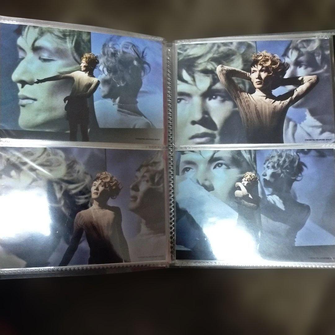 枚数追加♡355枚♡☆cali≠gari (ほぼ石井秀仁) ブロマイド等