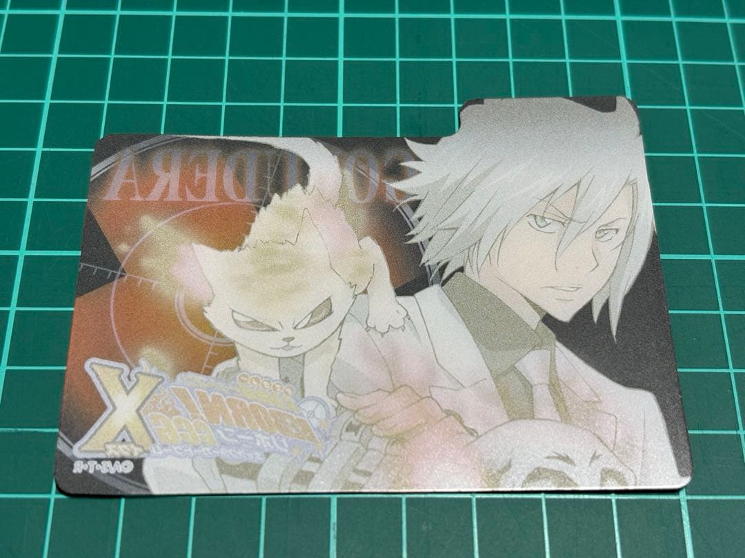 REBORN CCG BOX購入特典 セパレーター 仕切り 獄寺隼人 瓜