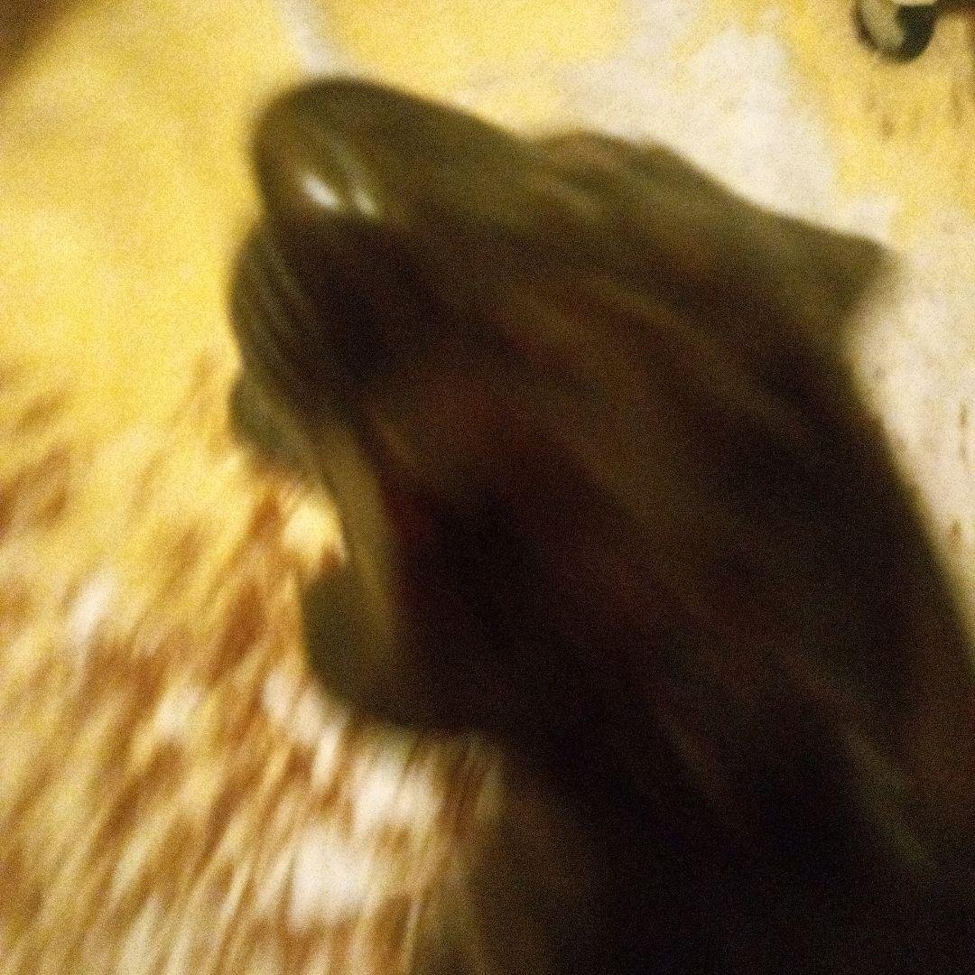 鉄ブロンズライオンの彫刻 約55cm