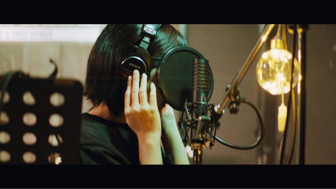 【状態】A ROYER r101 レコーディング　リボンマイク