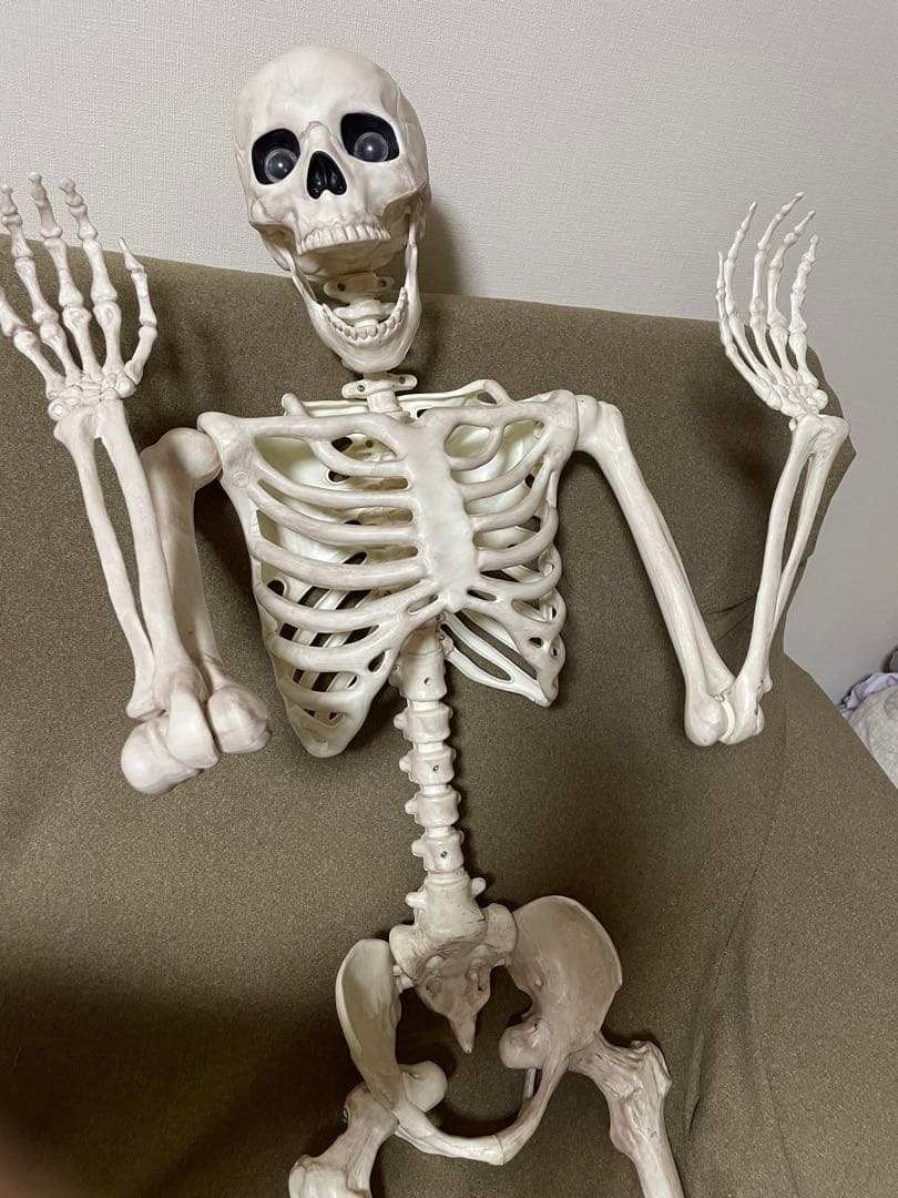 【デカすぎ！】ガイコツ　ハロウィン　人体模型　骨　ハロウィン　150cm