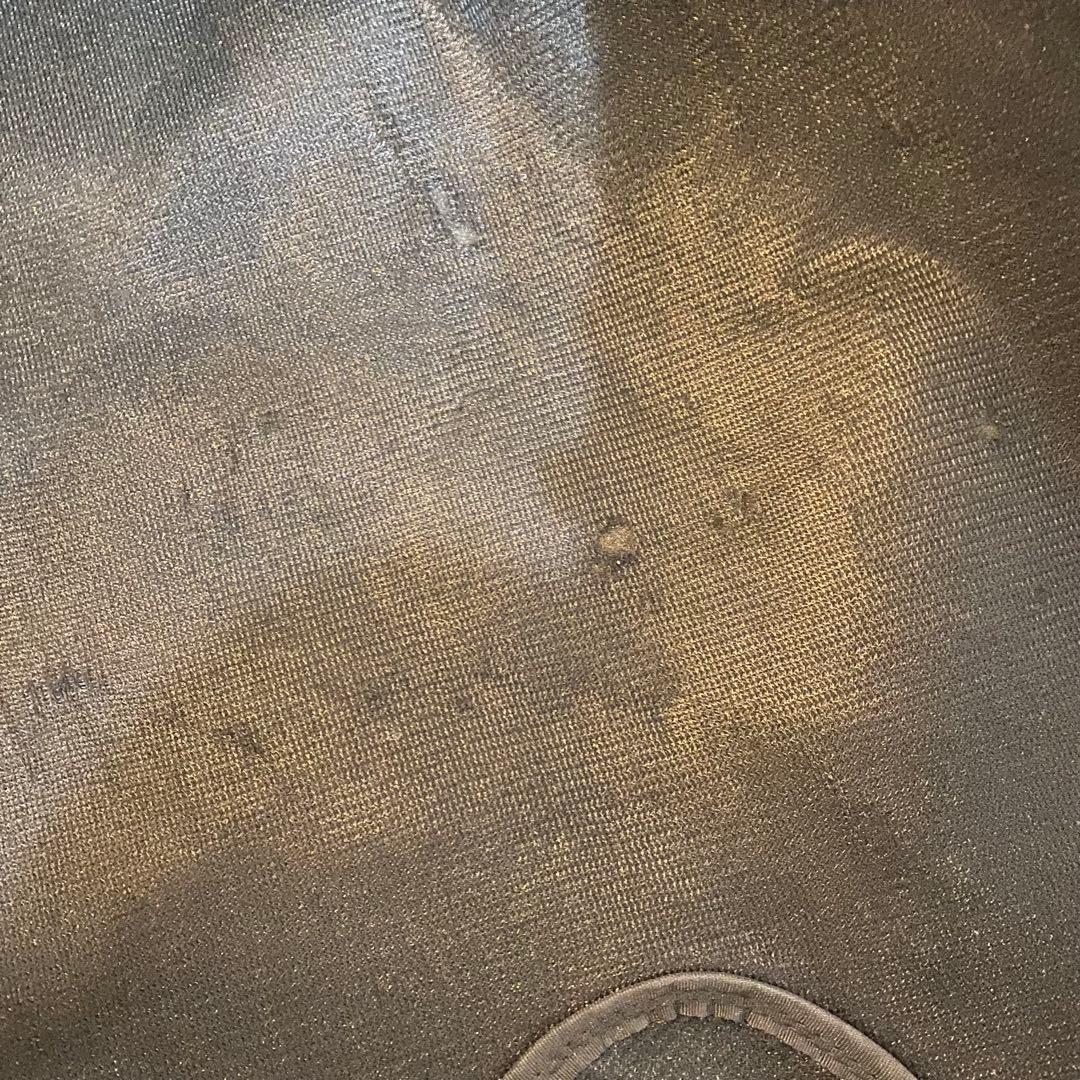 NIKE ゴルフバック　キャディバック　廃盤品