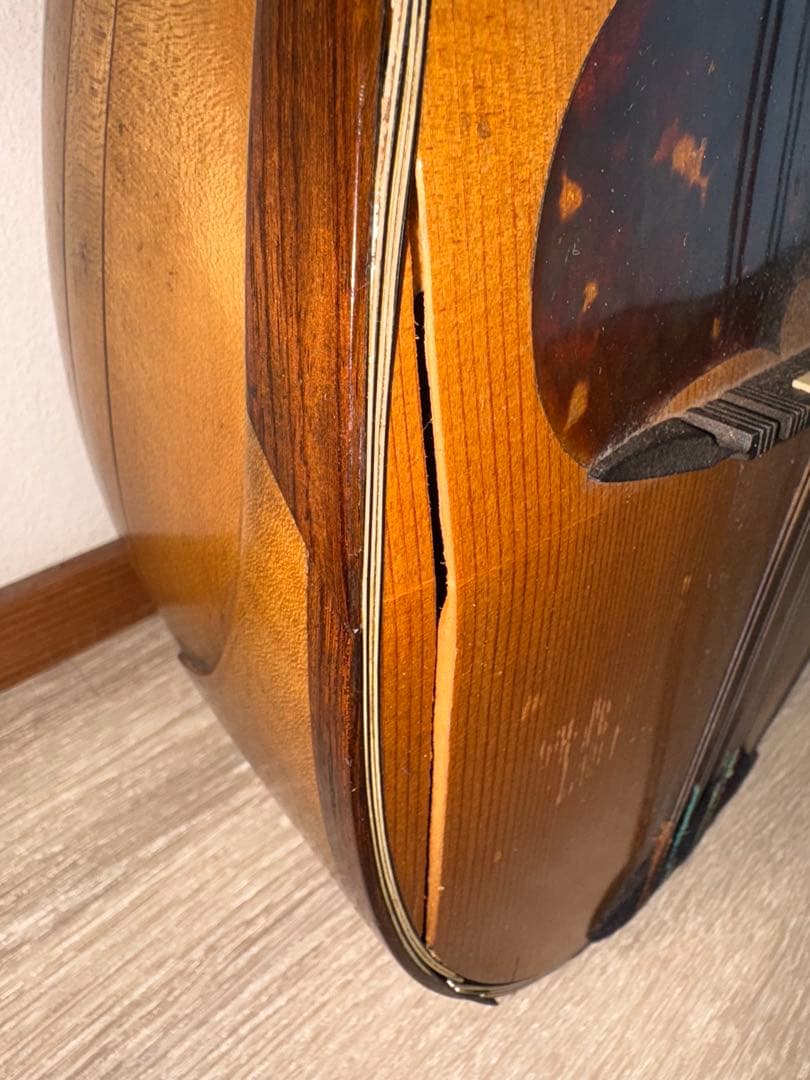 【希少】マンドリン　カラーチェ　ラファエレ　ラファエル　ケース　イタリア製