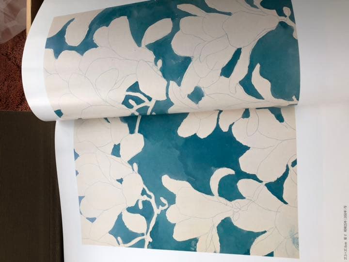 福田平八郎 作品と素描