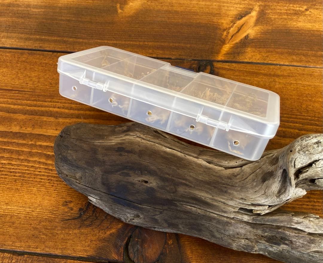 クワガタ採集セット　ブラック　オリジナル掻き出し棒　デジタルノギス　採集ケース