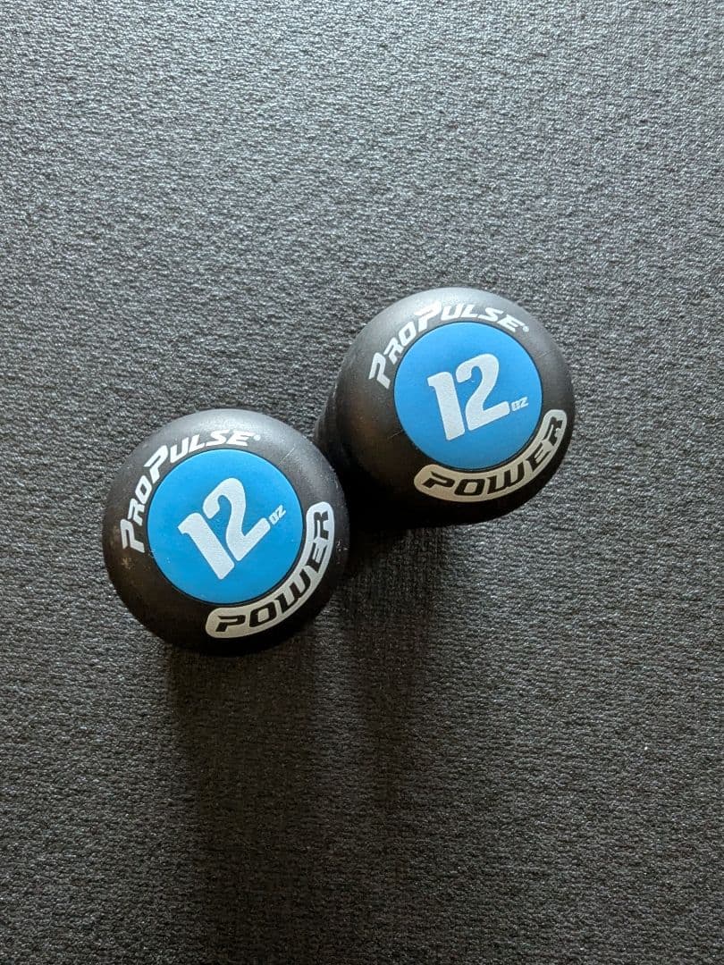 ProPulse 340g 中古 正規品 体幹 リズム 格闘技