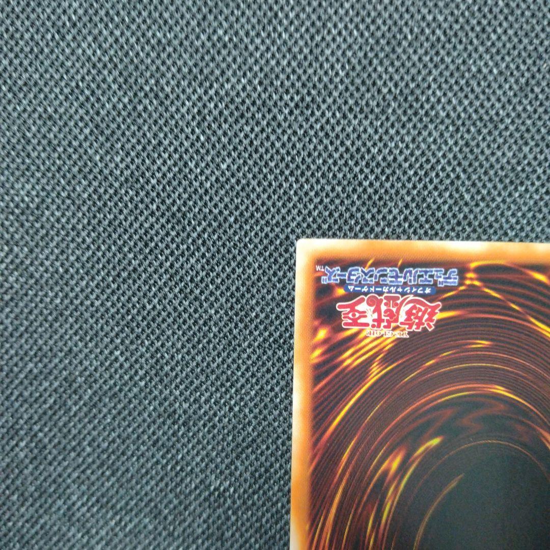 綿毛トークン パラレル 2種 TP