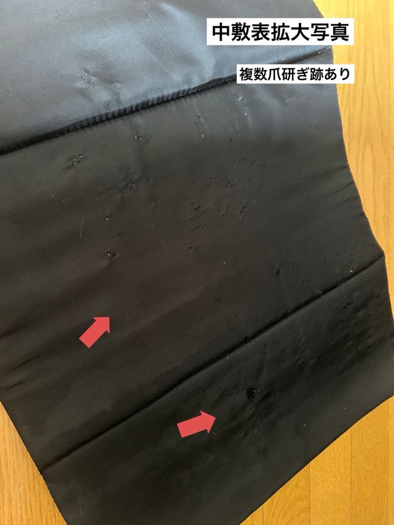 TAKE ME ペットキャリーXLサイズ