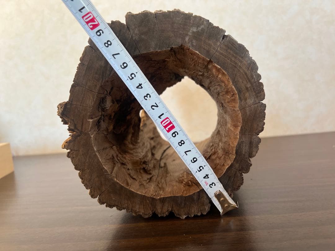 HX-008 流木　空洞　爬虫類　アクアリウム　アクアテラリウム　即沈水