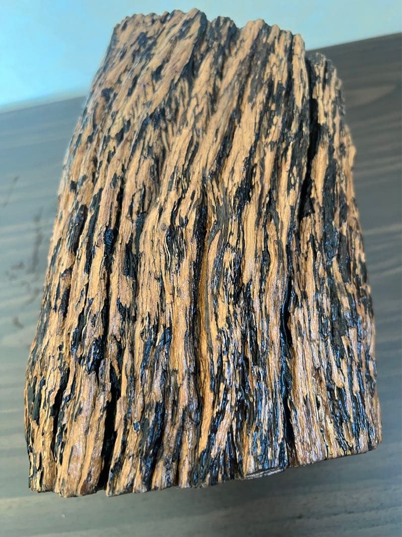 HX-008 流木　空洞　爬虫類　アクアリウム　アクアテラリウム　即沈水