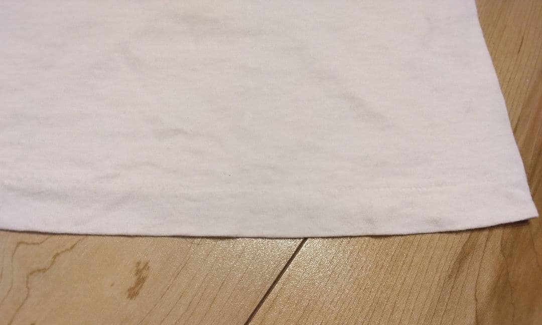 Beastie Boys Tシャツ 90s 前半購入 Hanes