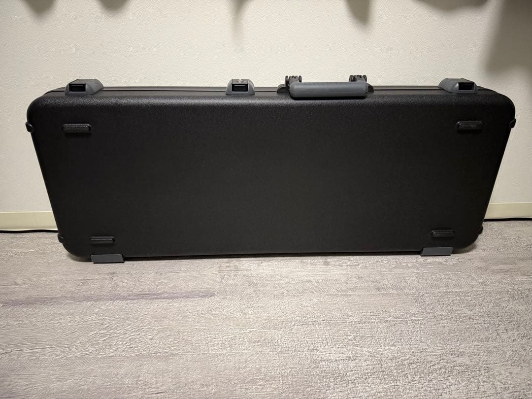 ギター Fender American professional ii strato