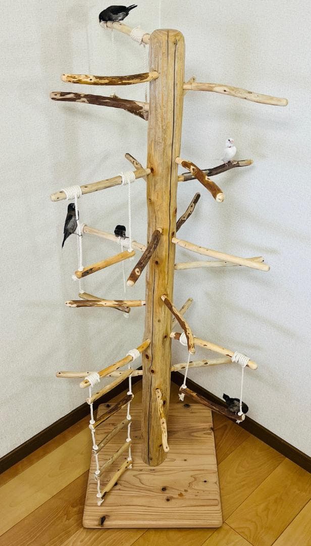 【中型鳥用】ブランコ＆はしごで楽しいバードアスレチック