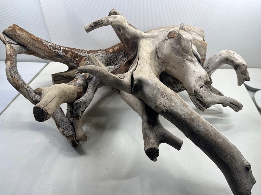 W21特大流木 アク抜き済み流木 爬虫類シェルター 止まり木 バードアスレチック