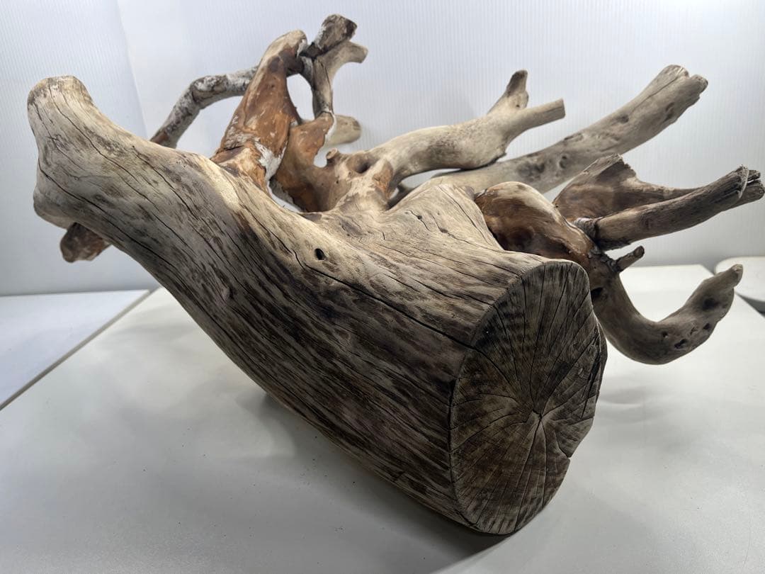 W21特大流木 アク抜き済み流木 爬虫類シェルター 止まり木 バードアスレチック