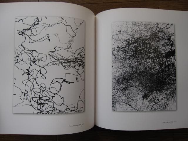 SYNTHESIS　シンセシス　名和晃平　Kohei Nawa