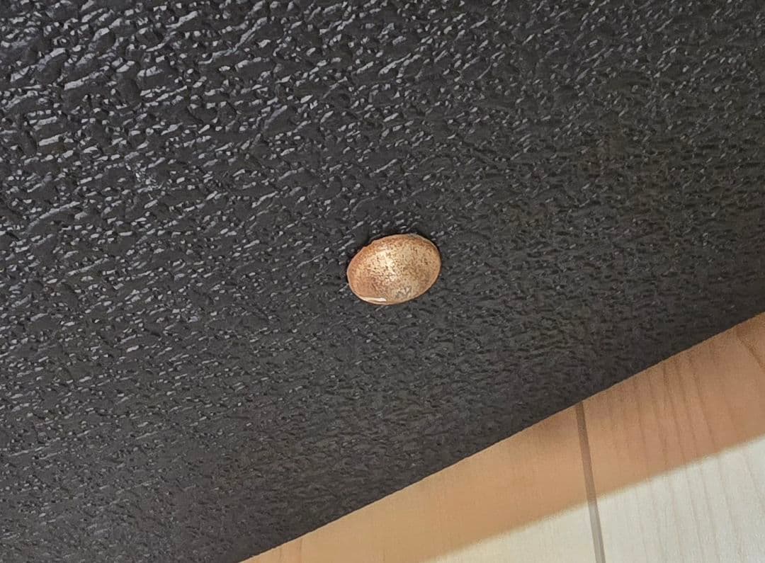 オベーション 12弦アコースティックギター 1994