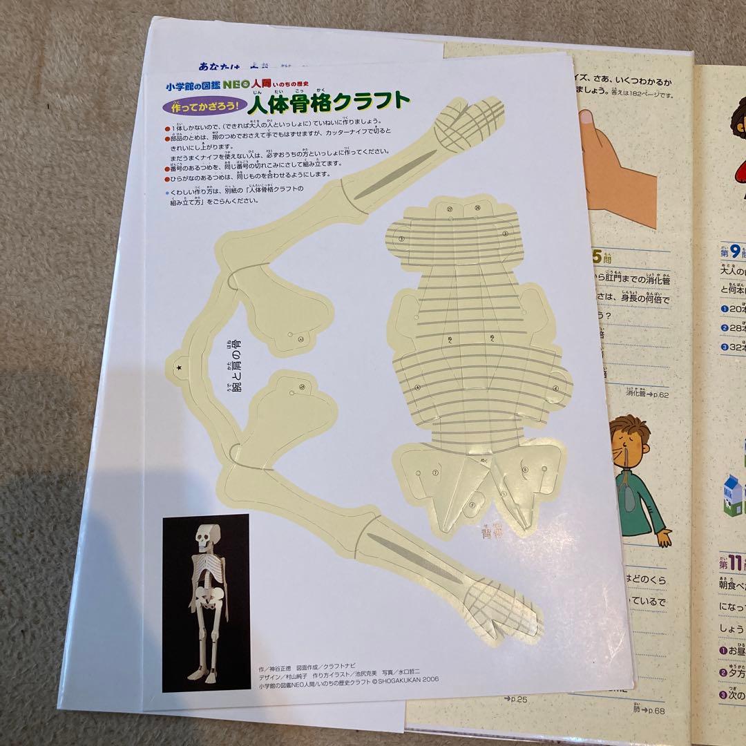 【15冊セット】小学館の図鑑NEO／NEOぷらす