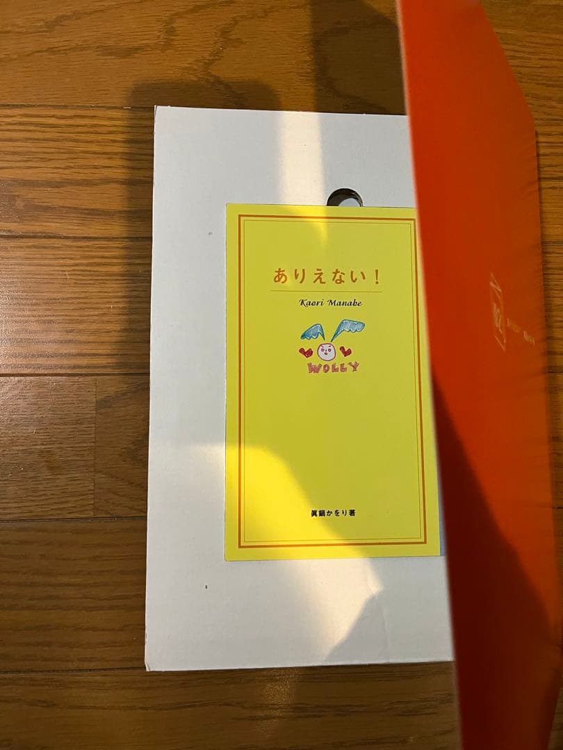 Love box : 眞鍋かをり　写真集箱入り　タレント　グラビア