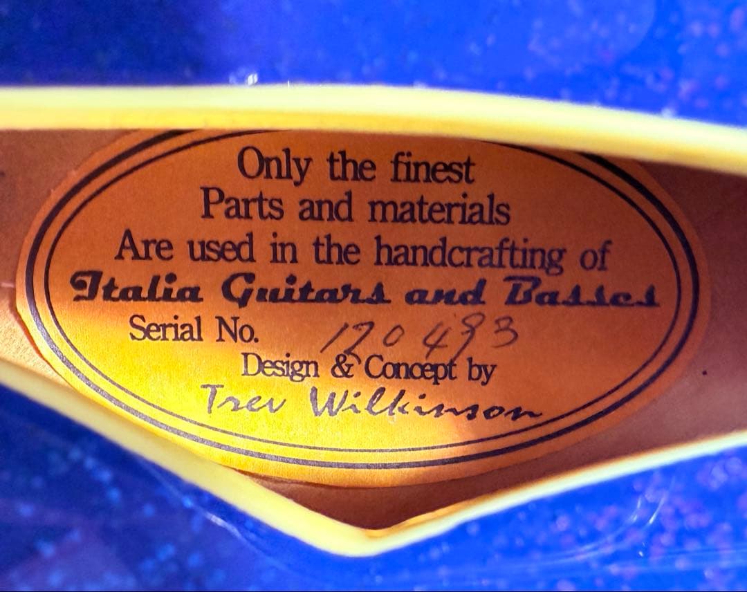 【美品】Italia Guitars Torino V イタリアギター