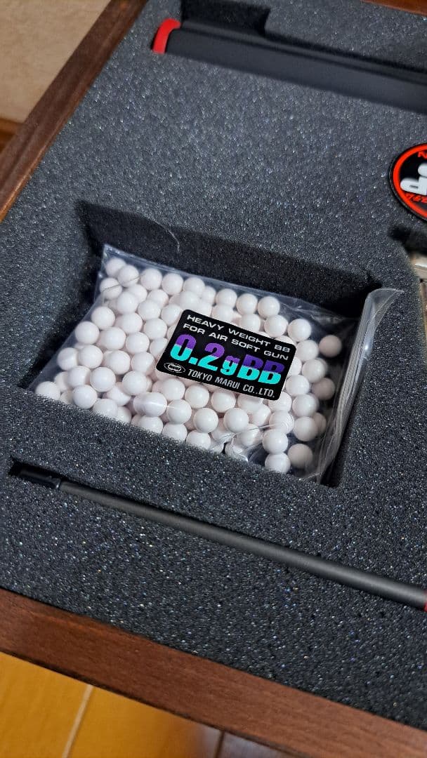 BIOHAZARD 2 10インチカスタム