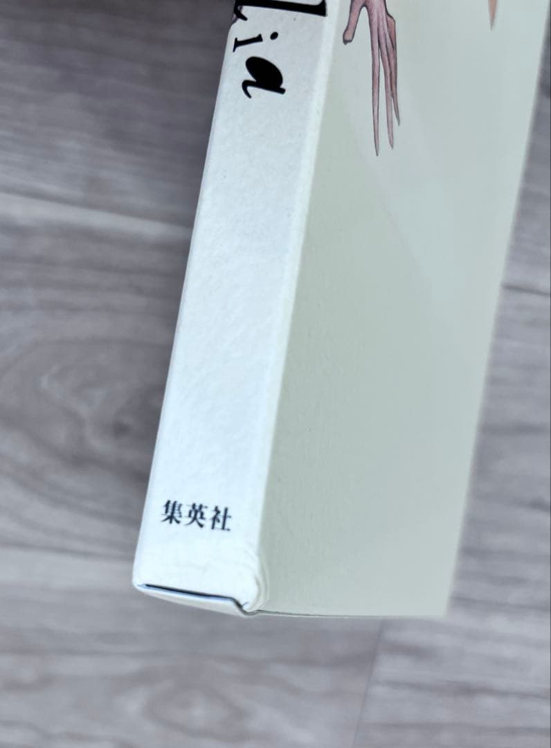 絶版　八木教広　CLAYMORE 画集　初版　希少　美品