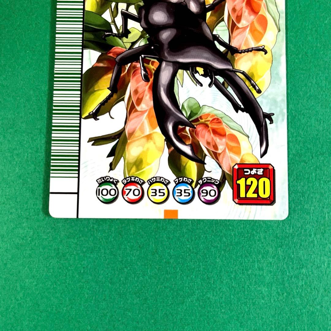 ムシキング　5周年　第2弾　パリーオオクワガタ　スーパーウィニングショット