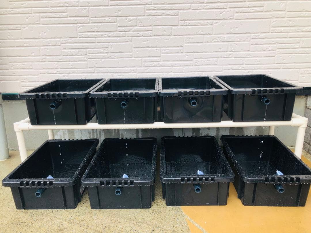 メダカ飼育ラック ブラック【接着剤付】 NVBOX13を12個置けます