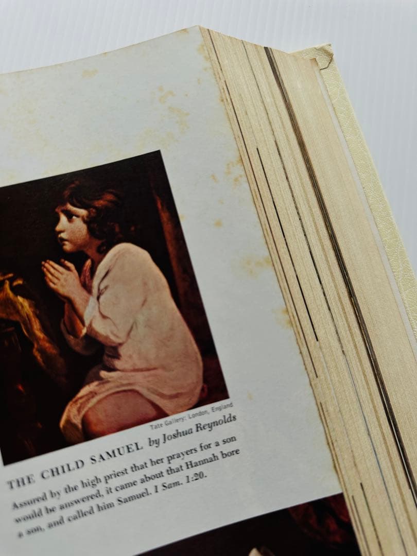 HOLY BIBLE（聖書）　洋書