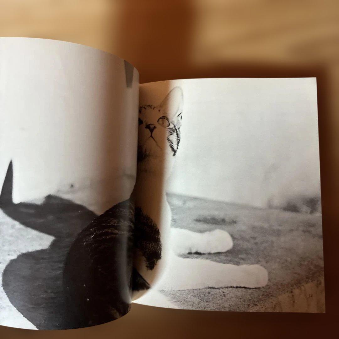 深瀬昌久　サスケ!!いとしき猫よ　写真集